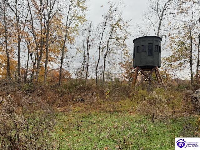 Tract 7 Cook LaneCromwell,&nbsp;KY&nbsp;42333