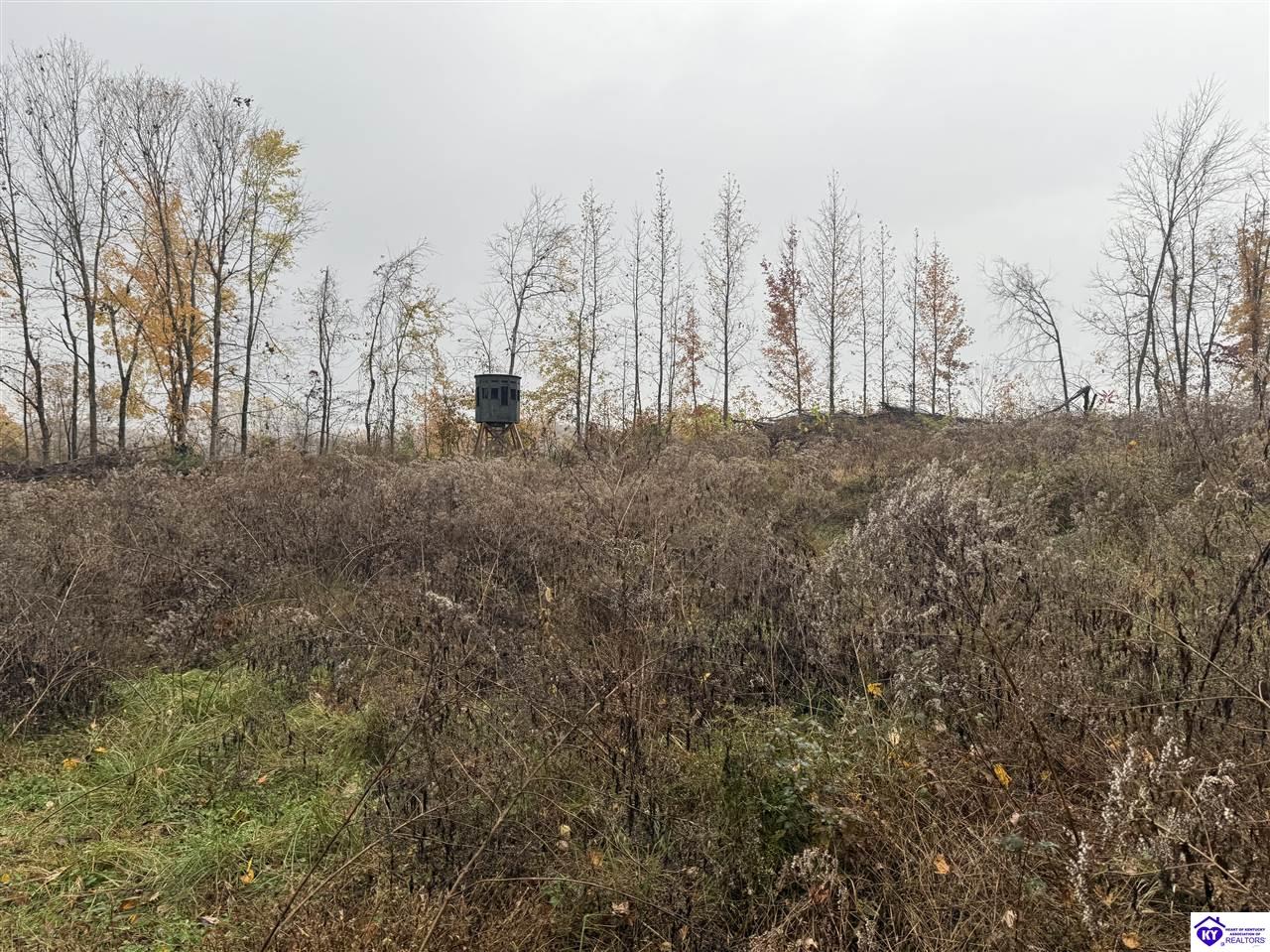 Tract 7 Cook Lane Cromwell, KY 42333 #1