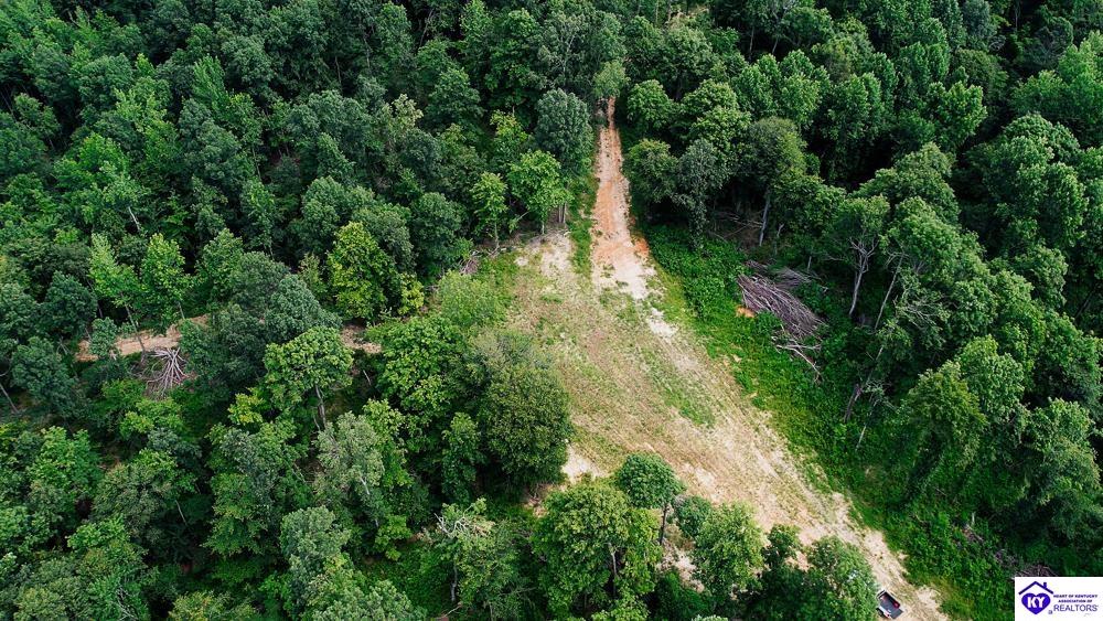 Tract 7 Cook Lane Cromwell, KY 42333 #3