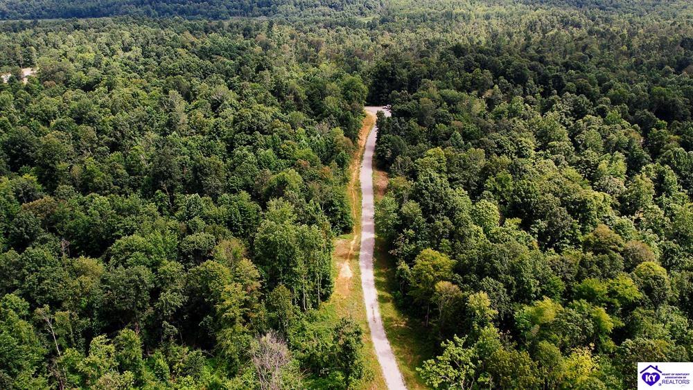 Tract 7 Cook Lane Cromwell, KY 42333 #4