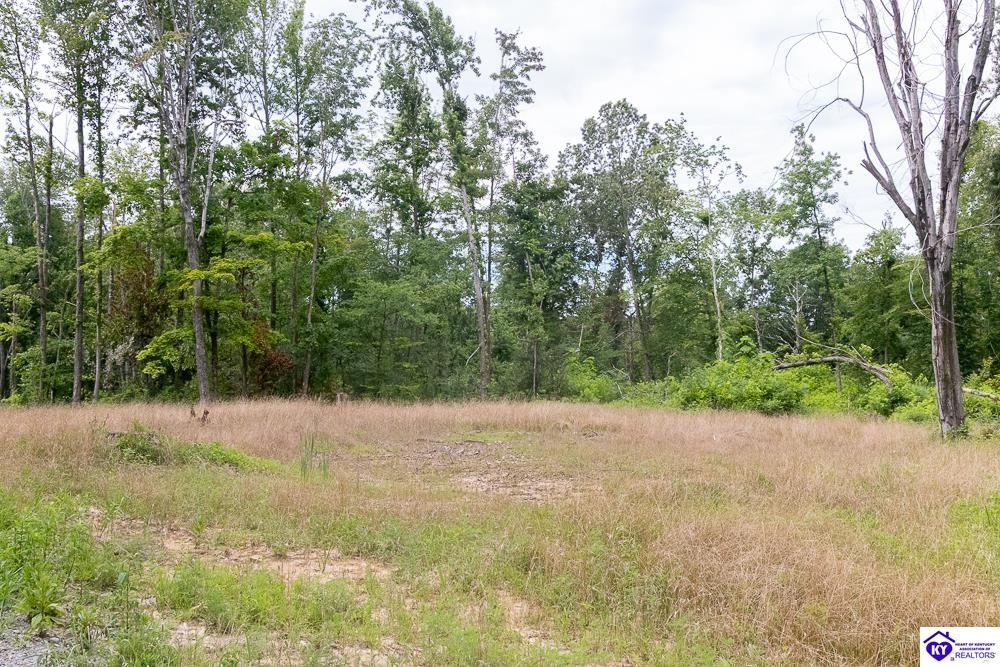 Tract 8 Cook Lane Cromwell, KY 42333 #4