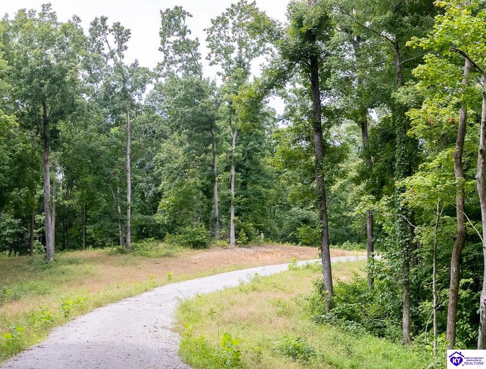 Tract 9 Cook Lane Cromwell, KY 42333 #2