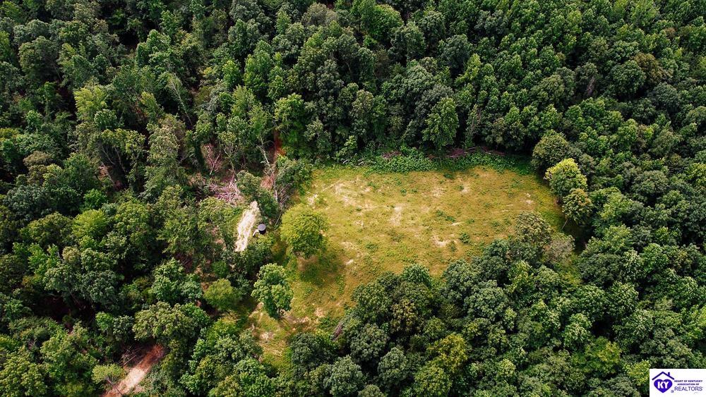 Tract 10 Cook Lane Cromwell, KY 42333 #4