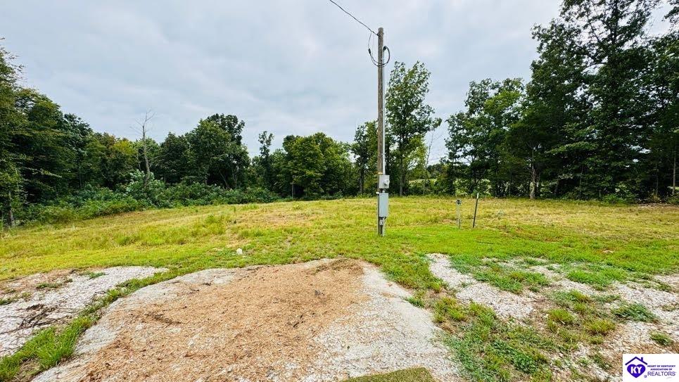 2003 Tick Ridge Road Falls Of Rough, KY 40119 #2