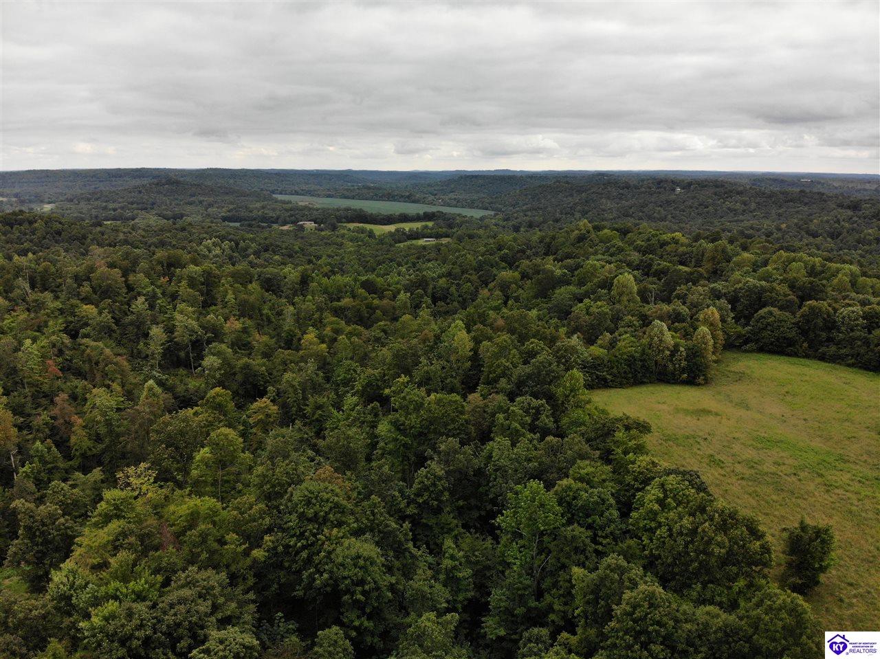 2003 Tick Ridge Road Falls Of Rough, KY 40119 #4