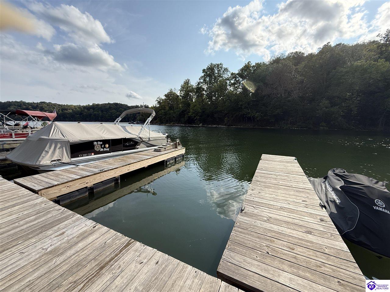 35 Penn Run RoadBee Spring,&nbsp;KY&nbsp;42207