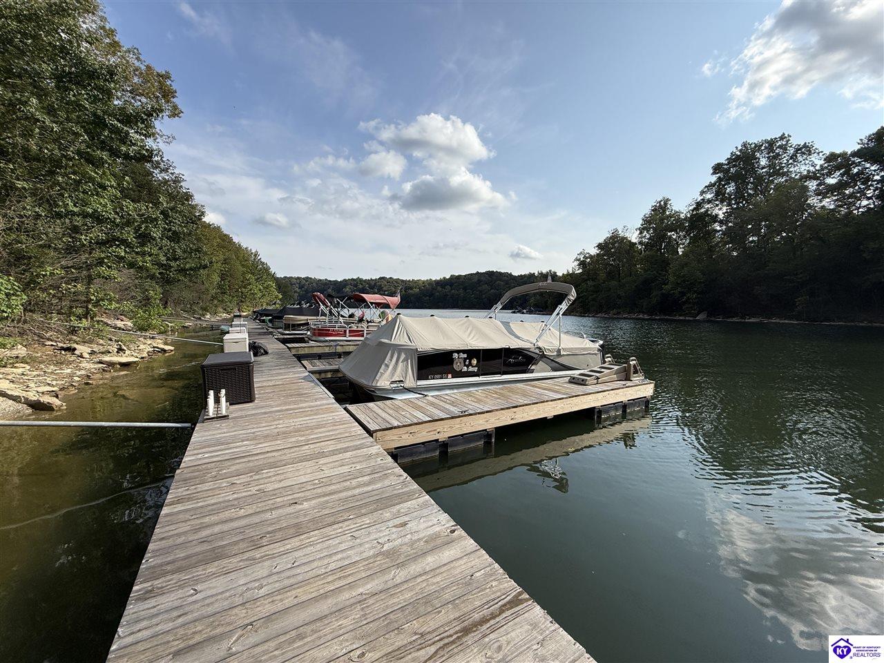 35 Penn Run Road Bee Spring, KY 42207 #1