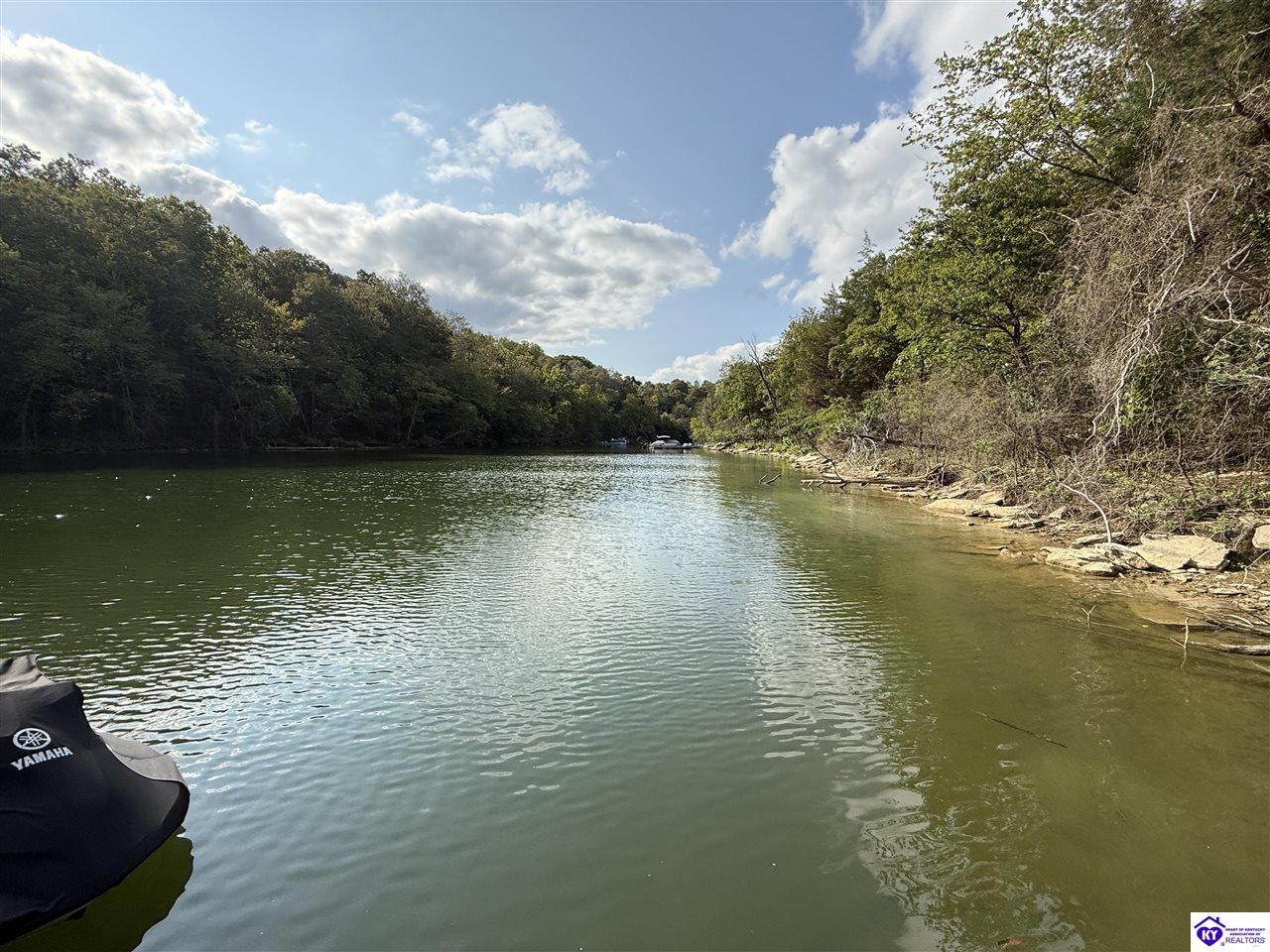 35 Penn Run Road Bee Spring, KY 42207 #2