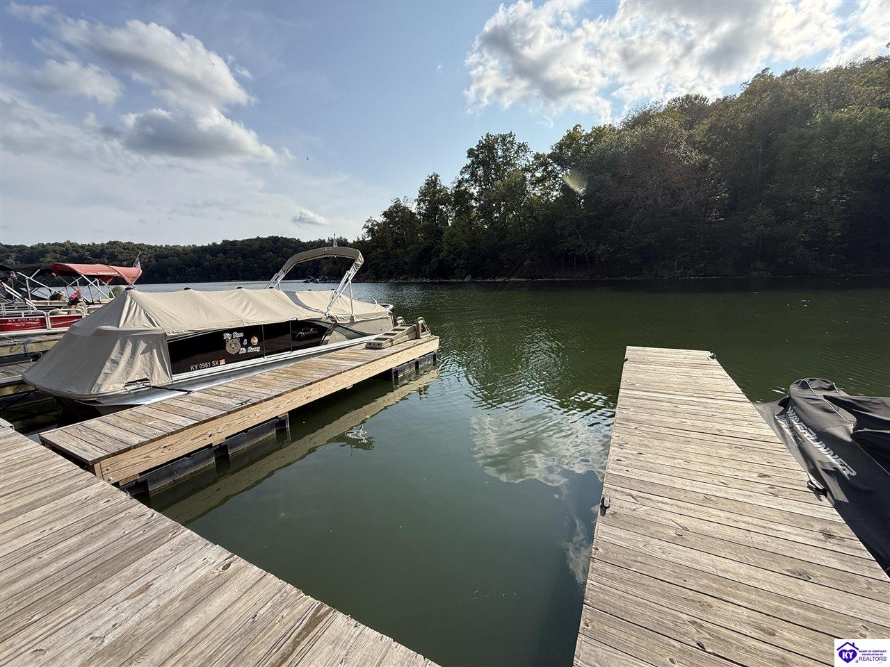 35 Penn Run Road Bee Spring, KY 42207 #3