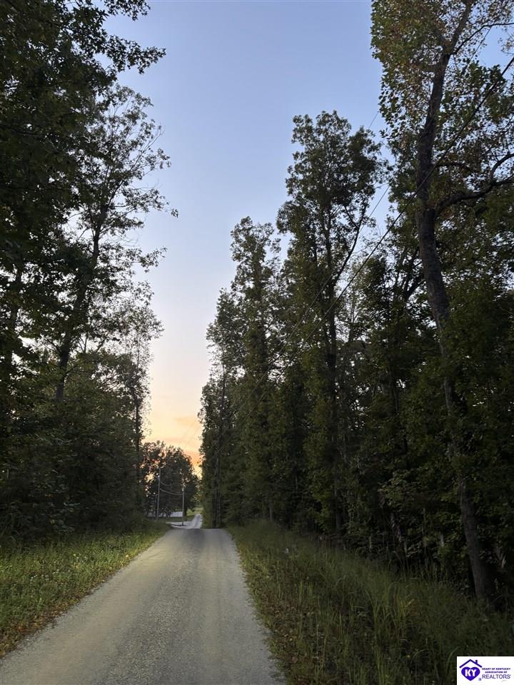 Rock Creek Road Leitchfield, KY 42754 #2