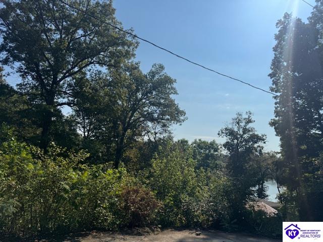 310 Browns Hideaway Lane Hardinsburg, KY 40143 #4