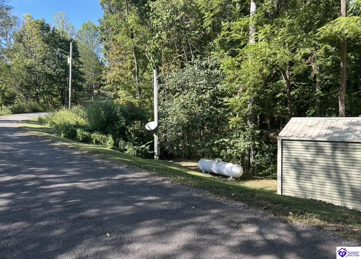 84 Lakeview Drive Columbia, KY 42728 #4