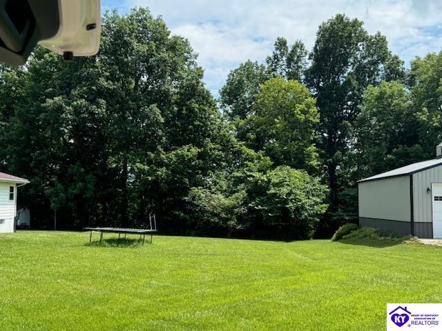 3200 Cannons Point Lane McDaniels, KY 40152 #2