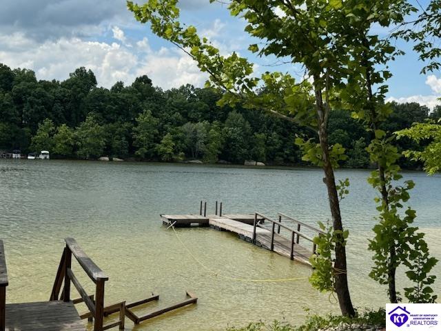 3200 Cannons Point Lane McDaniels, KY 40152 #4