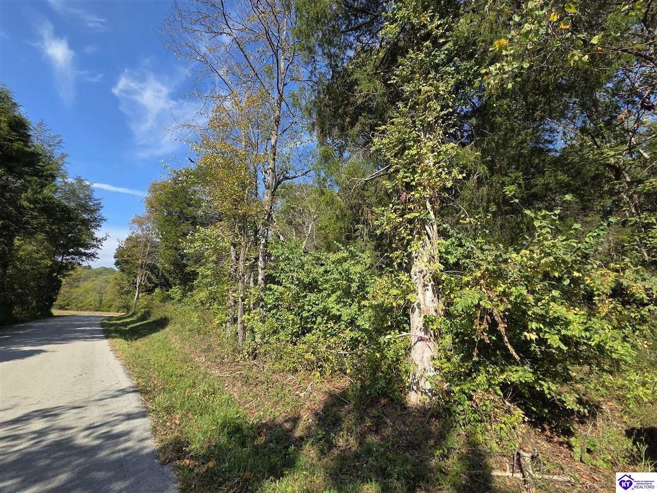 2728 Constantine Road Cecilia, KY 42724 #1