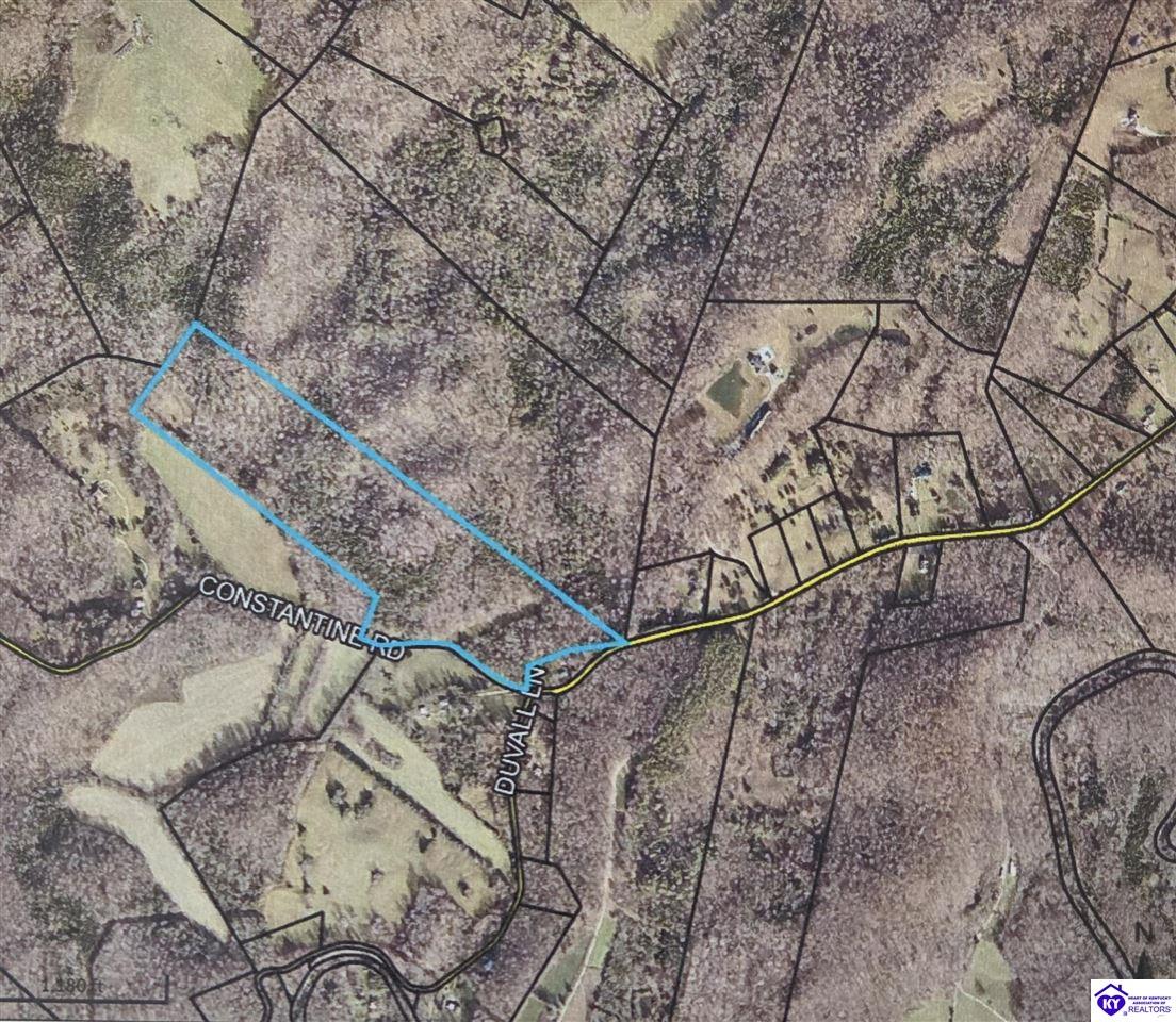 2728 Constantine Road Cecilia, KY 42724 #3