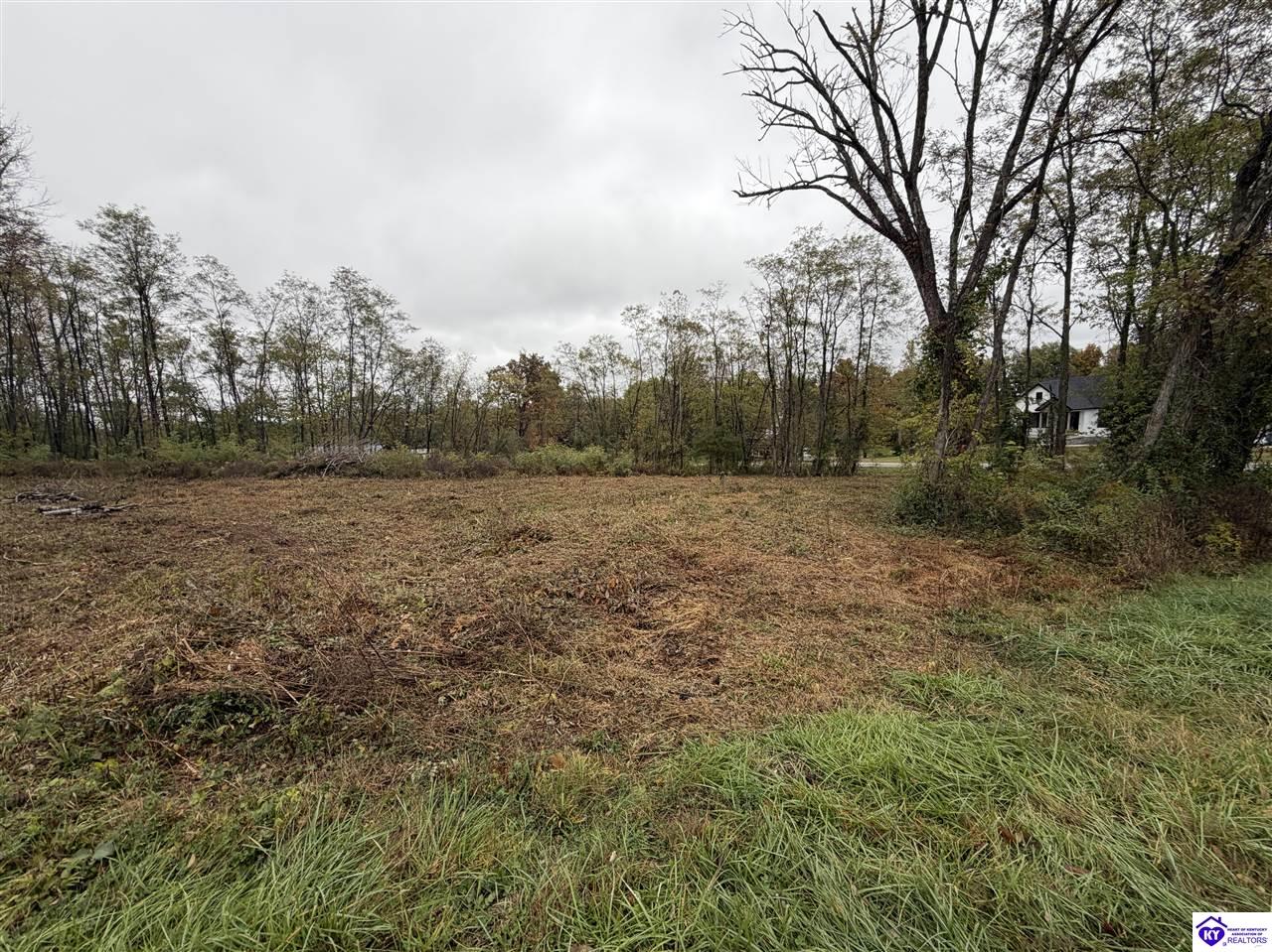 28 Freesia Lane Brandenburg, KY 40108 #1