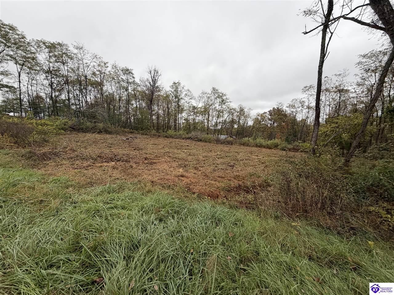 28 Freesia Lane Brandenburg, KY 40108 #2