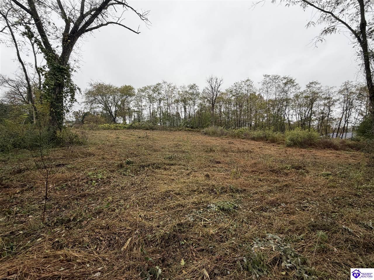 28 Freesia Lane Brandenburg, KY 40108 #3