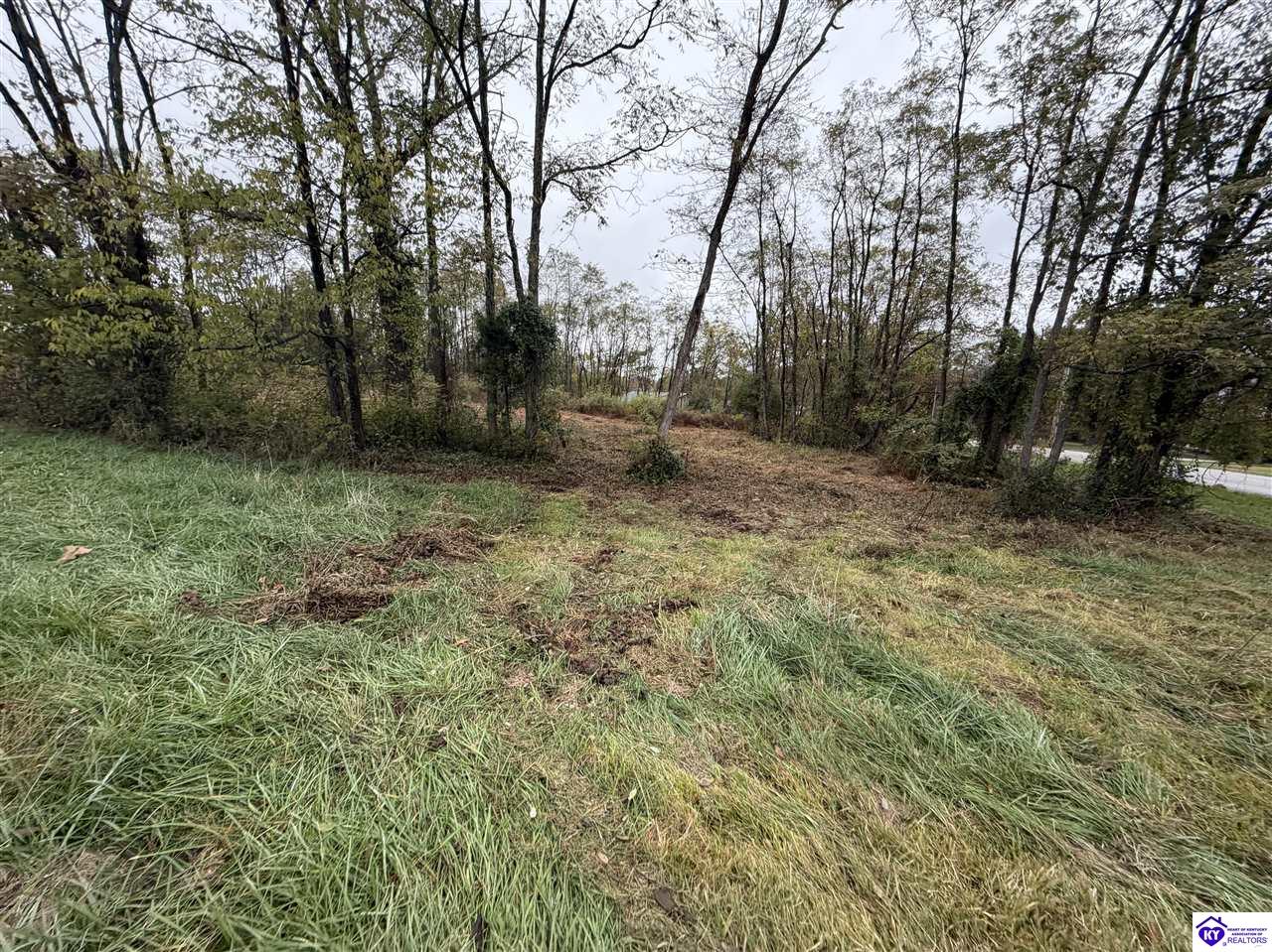 28 Freesia Lane Brandenburg, KY 40108 #4