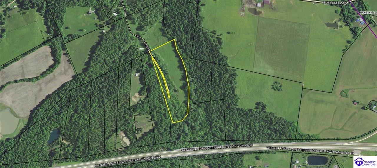 1293 Caneyville Cut Off RdCaneyville,&nbsp;KY&nbsp;42721