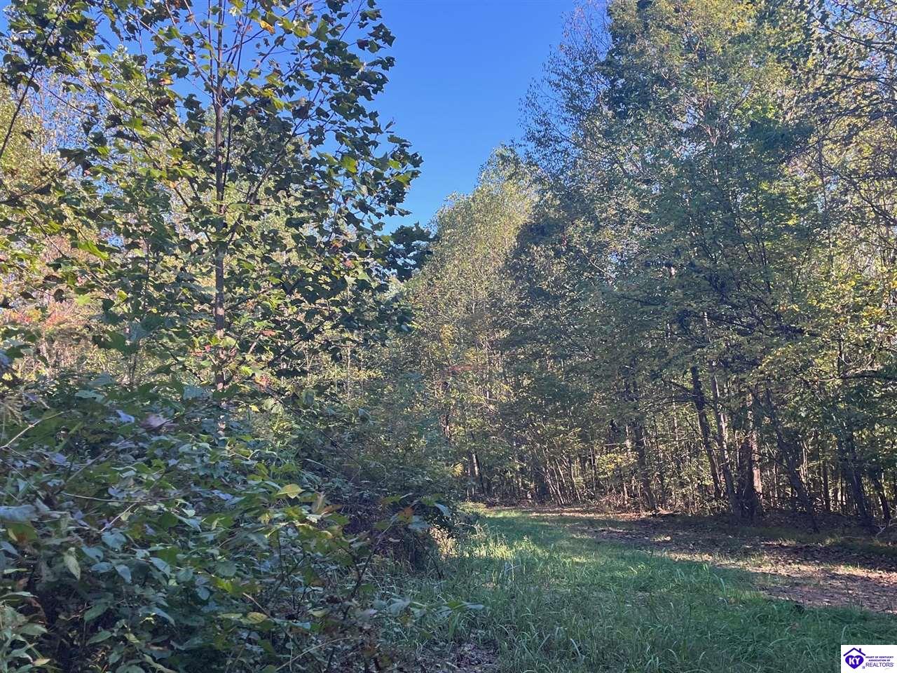 124 ACRES Cub Run Highway Munfordville, KY 42765 #3