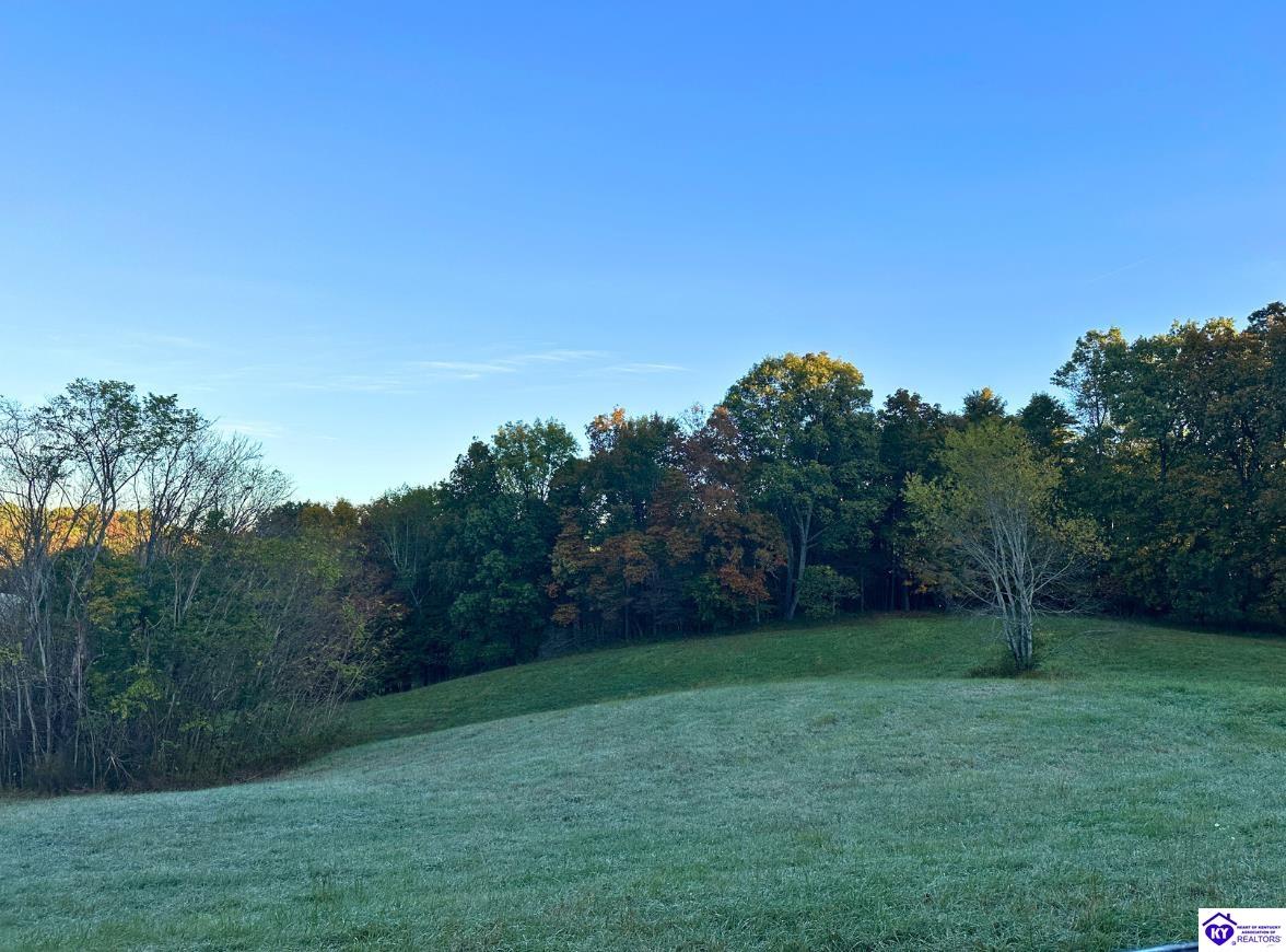 0 Sprowles Ridge Road Campbellsville, KY 42718 #1
