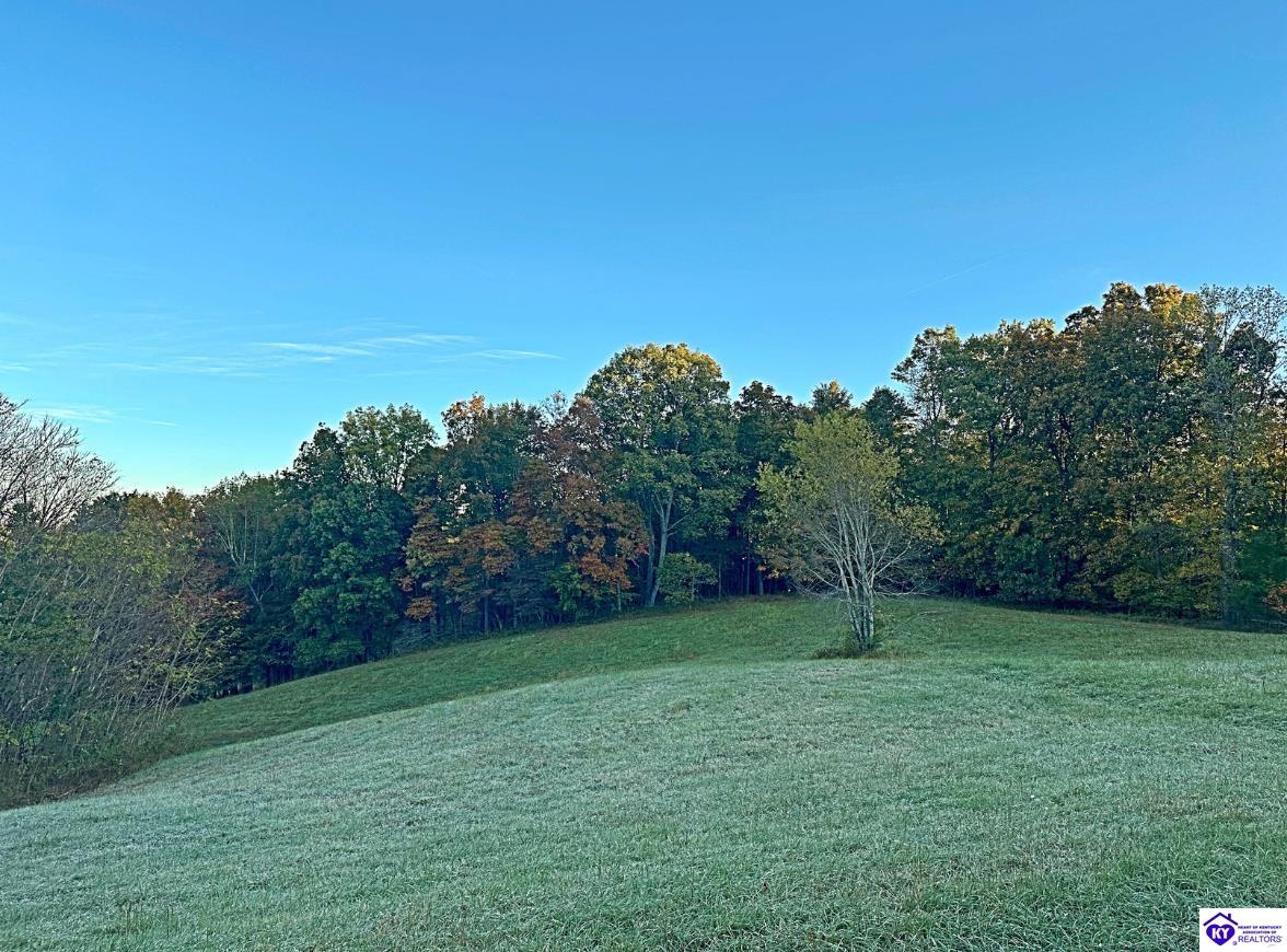 0 Sprowles Ridge Road Campbellsville, KY 42718 #3