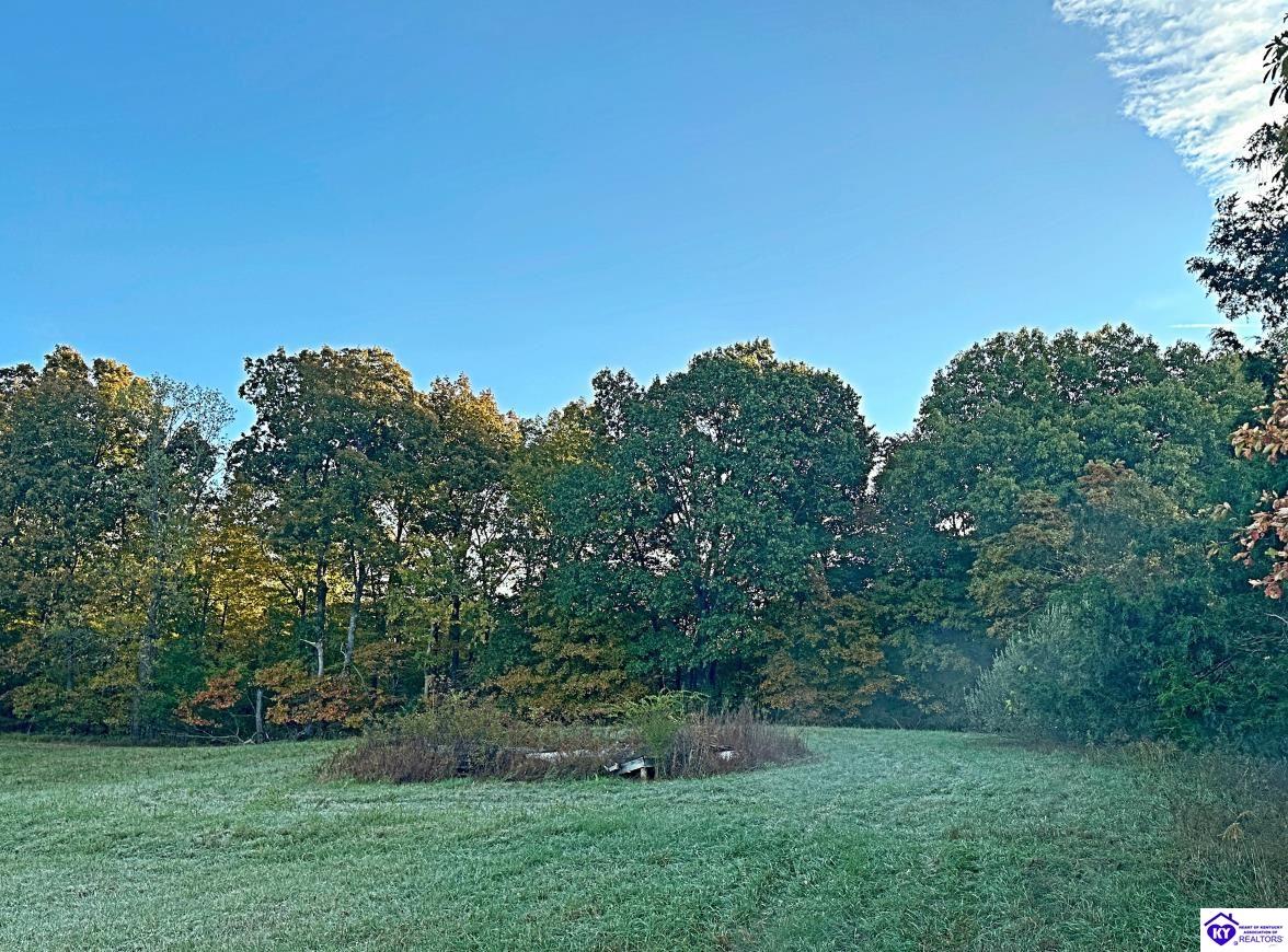 0 Sprowles Ridge Road Campbellsville, KY 42718 #4