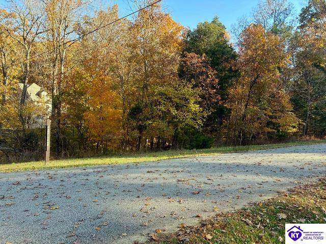 Lot 508 Cardinal Point RoadBrandenburg,&nbsp;KY&nbsp;40108