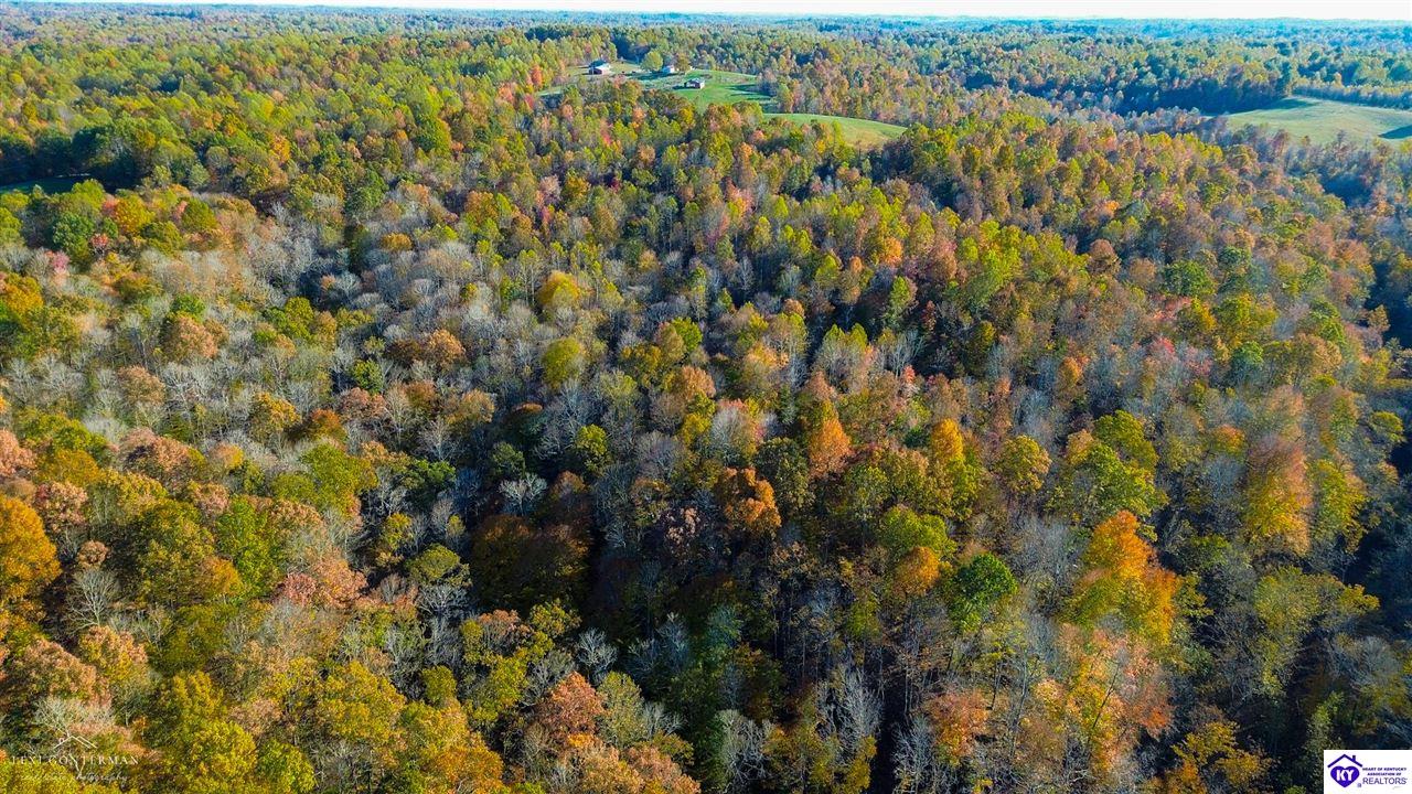 1 Skaggs Road Buffalo, KY 42716 #3