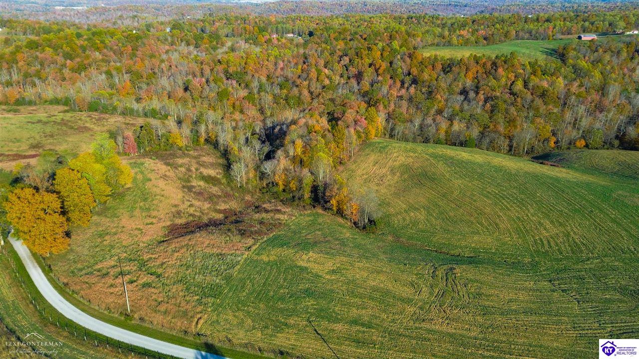 2 Skaggs Road Buffalo, KY 42716 #4