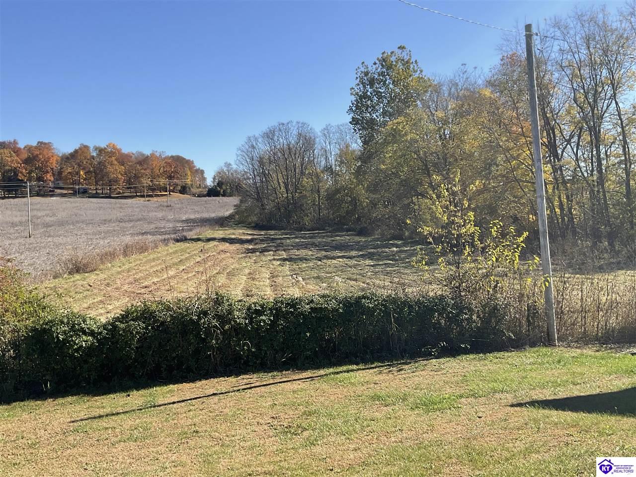 Lot #4 Highway 60 Guston, KY 40142 #1