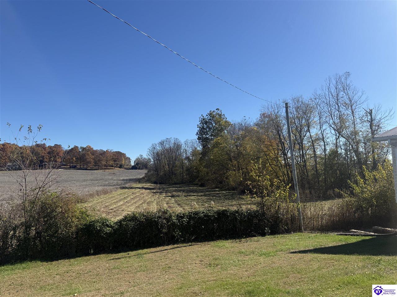 Lot #4 Highway 60 Guston, KY 40142 #2