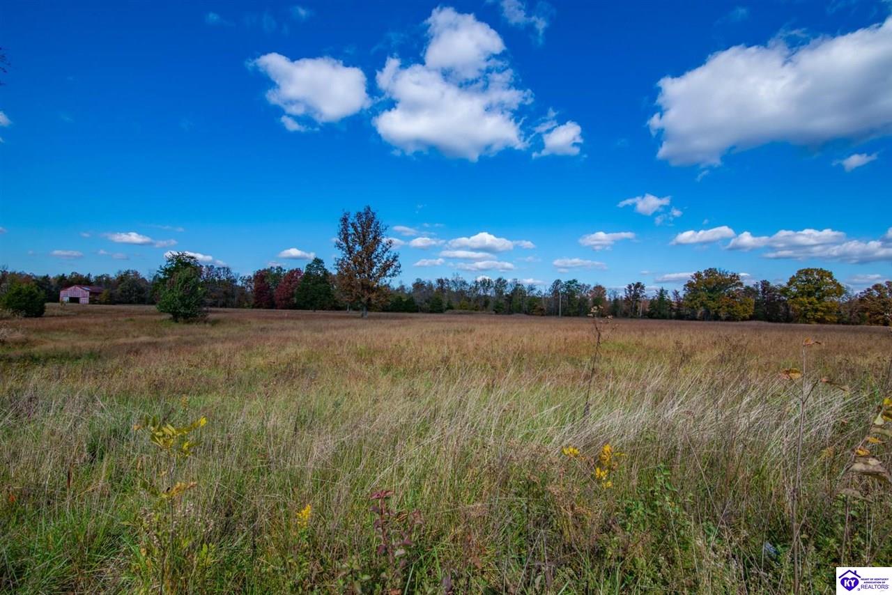 Lot 6 Pumpkin Road Shepherdsville, KY 40165 #3