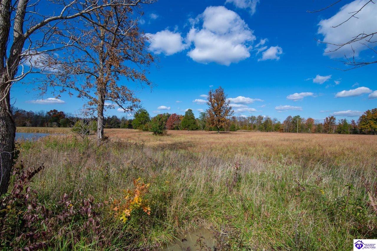 Lot 6 Pumpkin Road Shepherdsville, KY 40165 #4