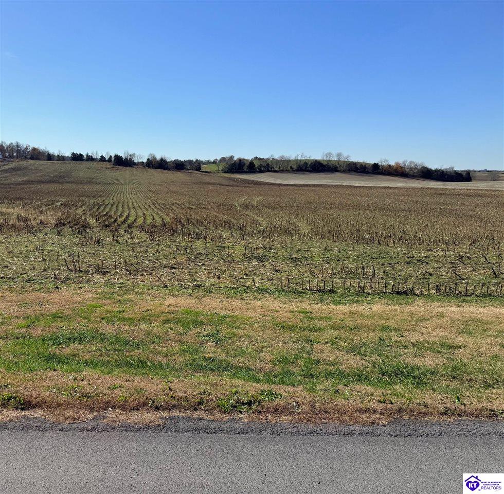 1205 Milder Creek Road Campbellsville, KY 42718 #1