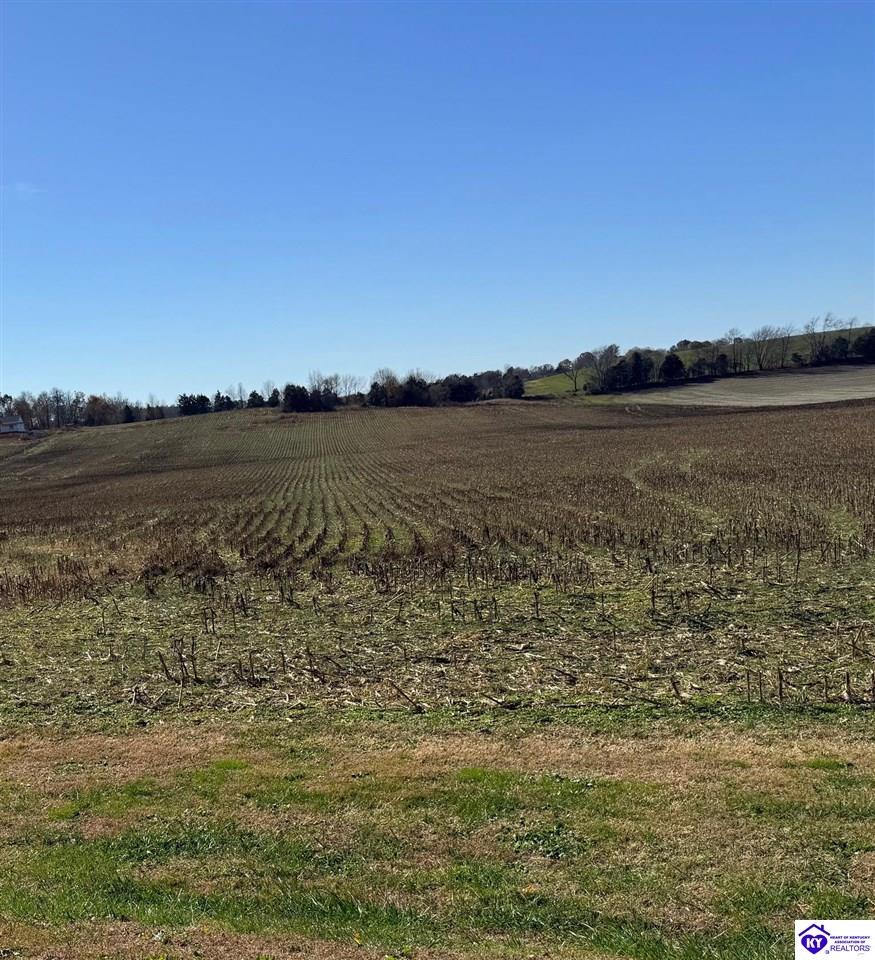 1205 Milder Creek Road Campbellsville, KY 42718 #3