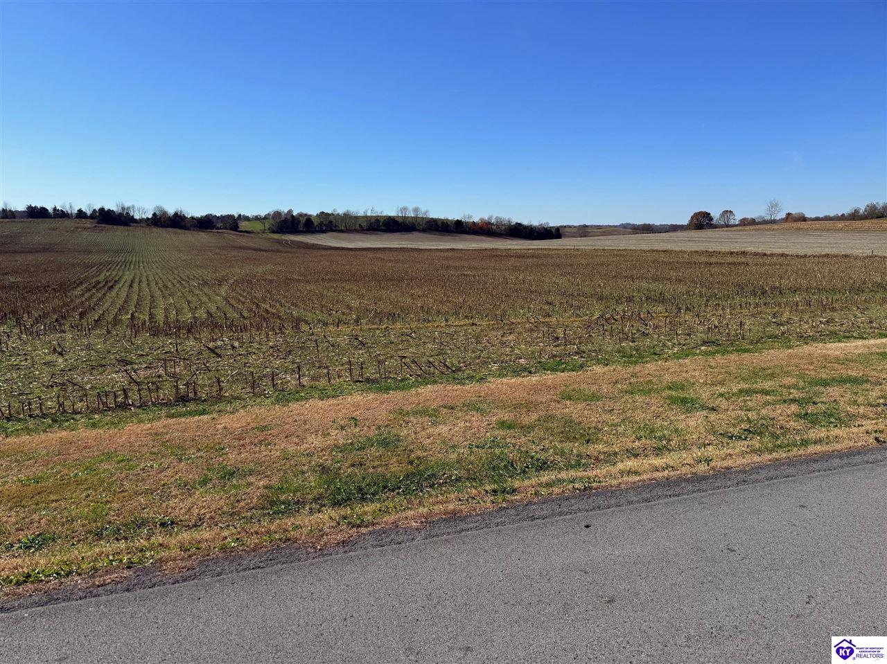 1205 Milder Creek Road Campbellsville, KY 42718 #4