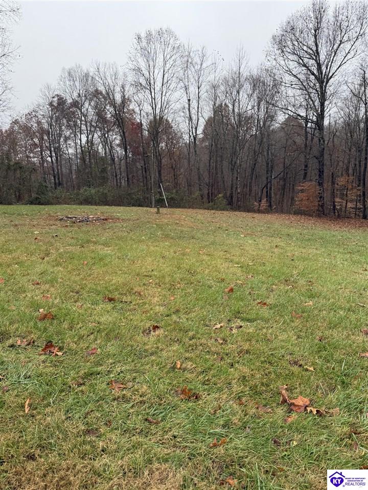 845 Old Glen Dean Axtel Lane Hardinsburg, KY 40143 #3