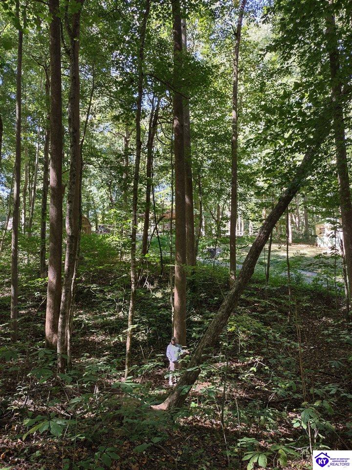 71 Bull Frog TrailScottsville,&nbsp;KY&nbsp;42164