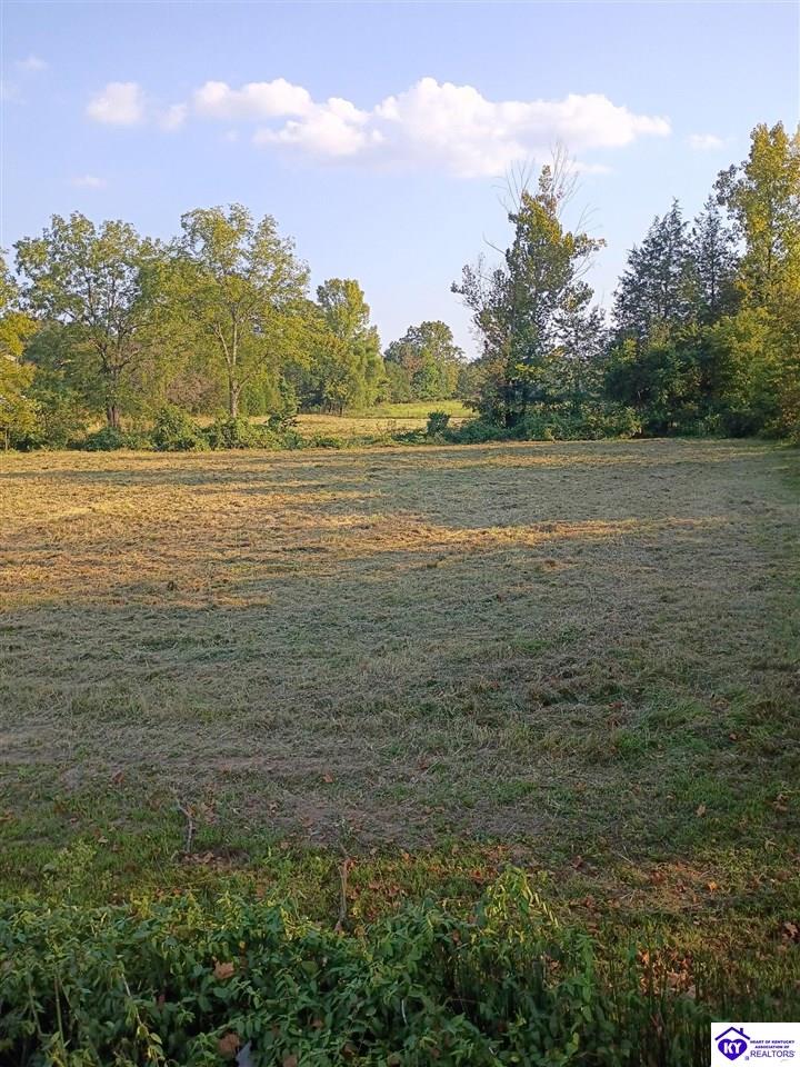 lot 2 B St John RoadRineyville,&nbsp;KY&nbsp;40162