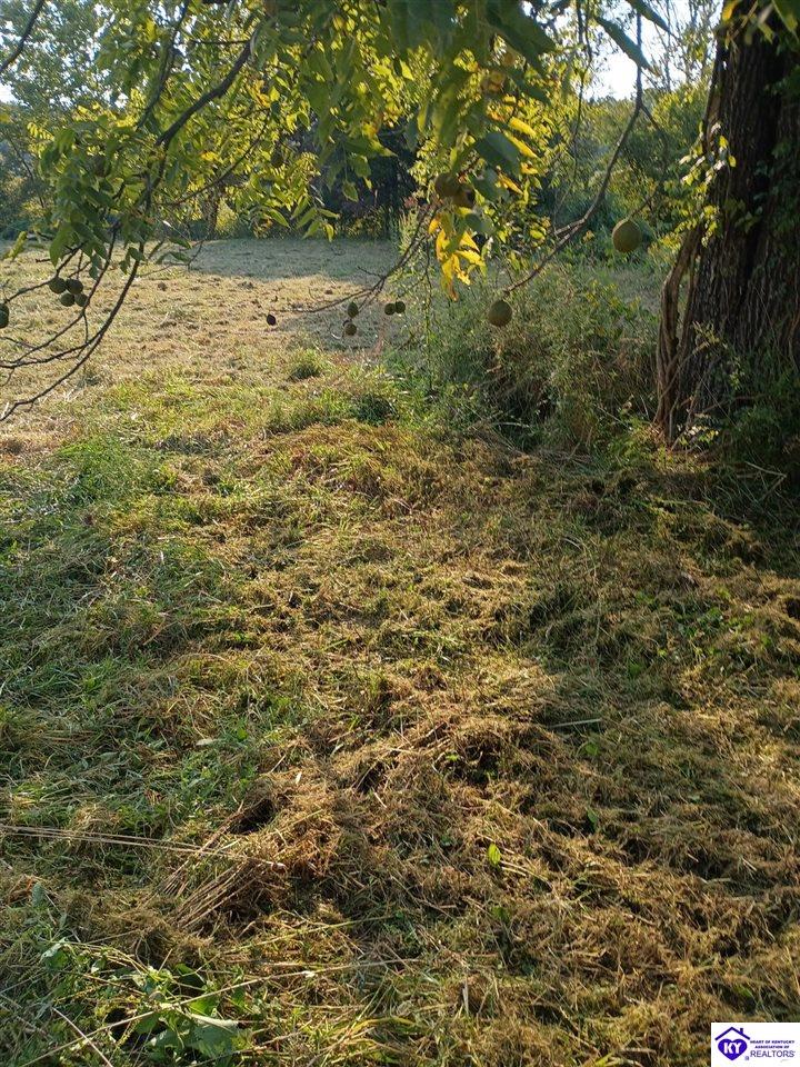 lot 2 B St John Road Rineyville, KY 40162 #1