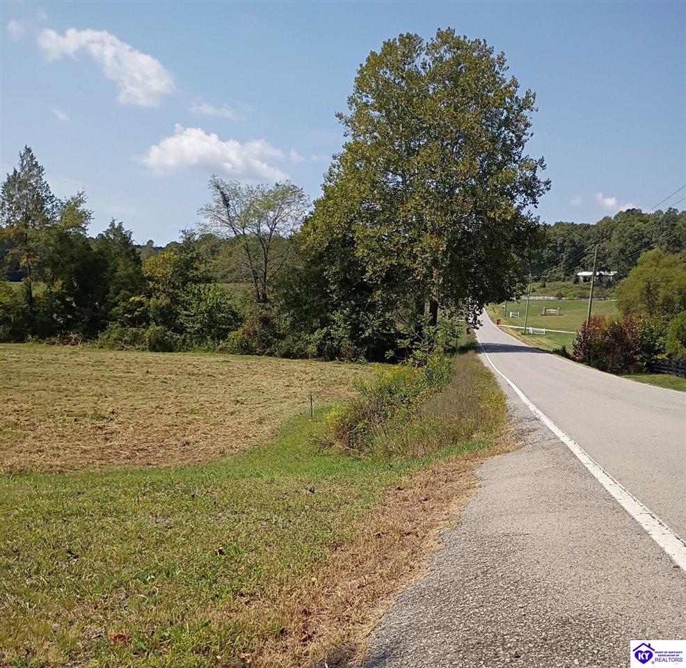 lot 2 B St John Road Rineyville, KY 40162 #2