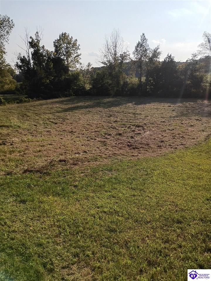 lot 2 B St John Road Rineyville, KY 40162 #3