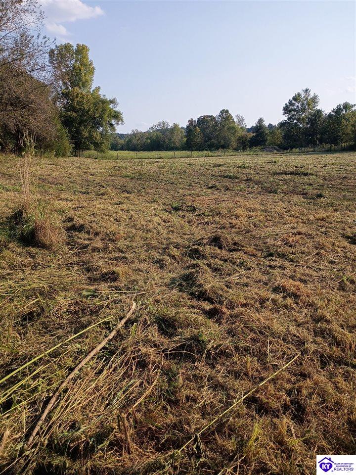 lot 2 B St John Road Rineyville, KY 40162 #4