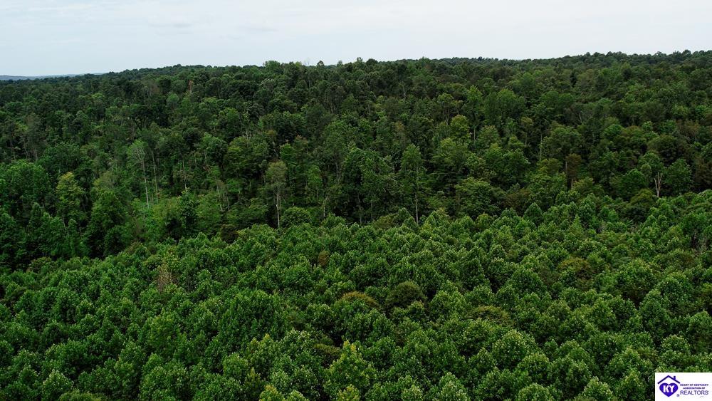 Tract 13 Cook Lane Cromwell, KY 42333 #1