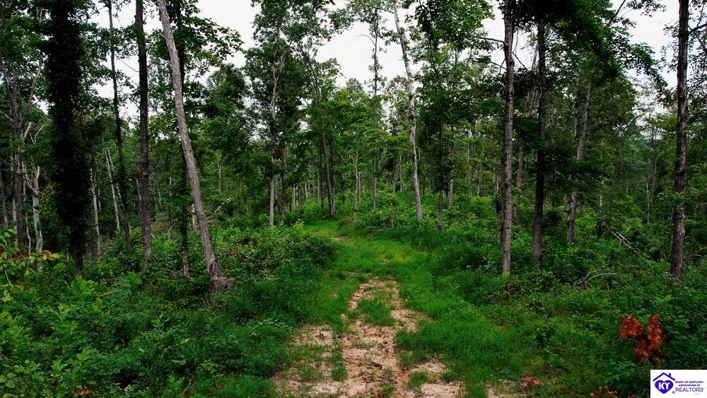 Tract 13 Cook Lane Cromwell, KY 42333 #2