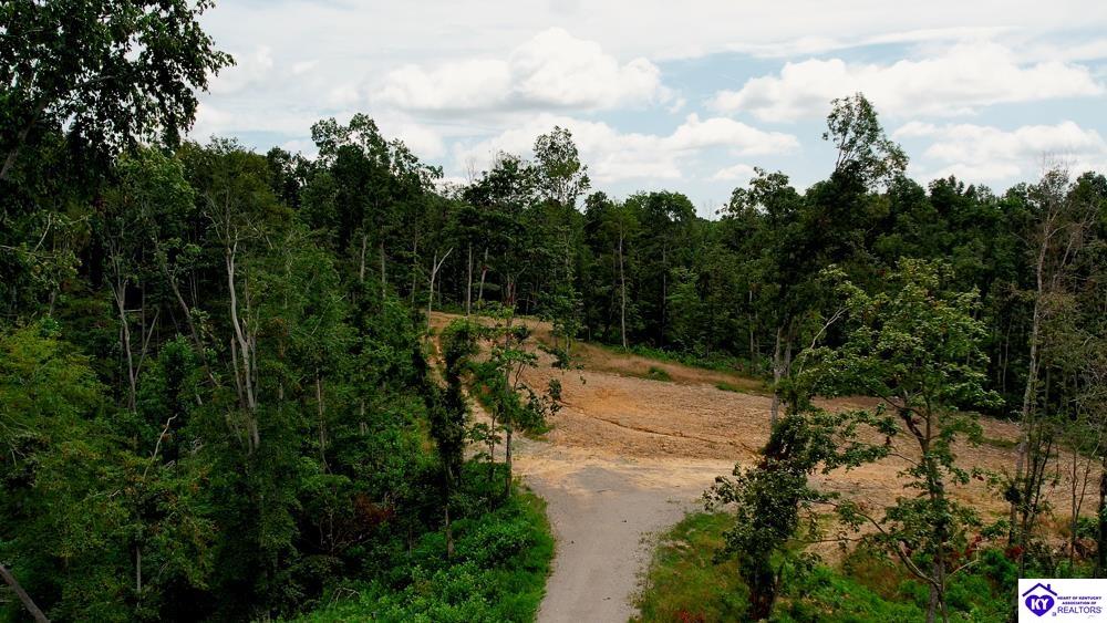 Tract 13 Cook Lane Cromwell, KY 42333 #3