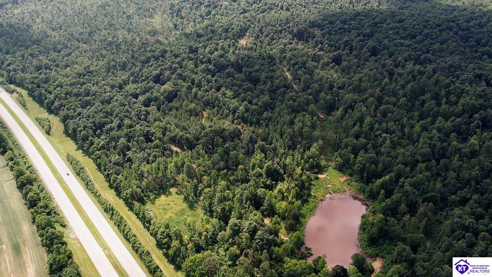 Tract 13 Cook Lane Cromwell, KY 42333 #4